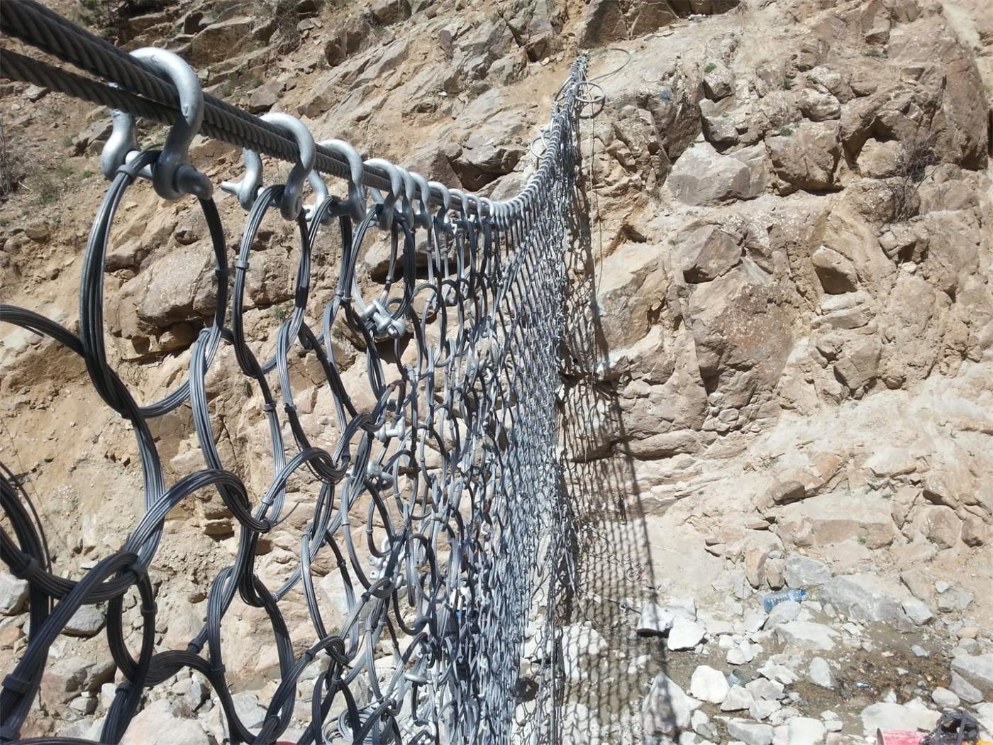 Ring net and post assembly detail