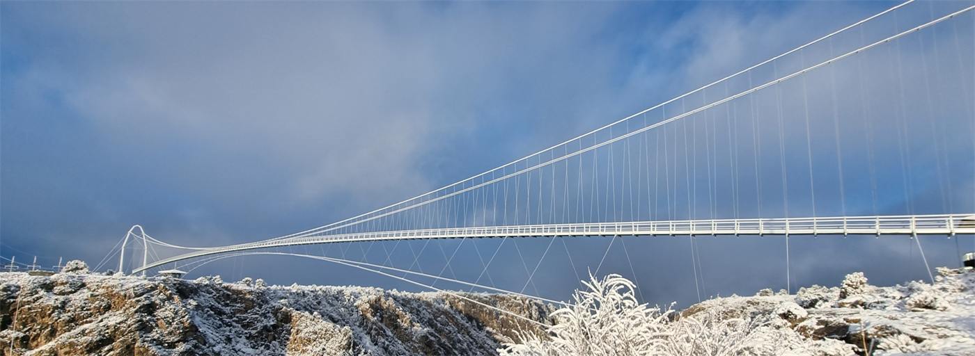 Long-span suspension footbridge