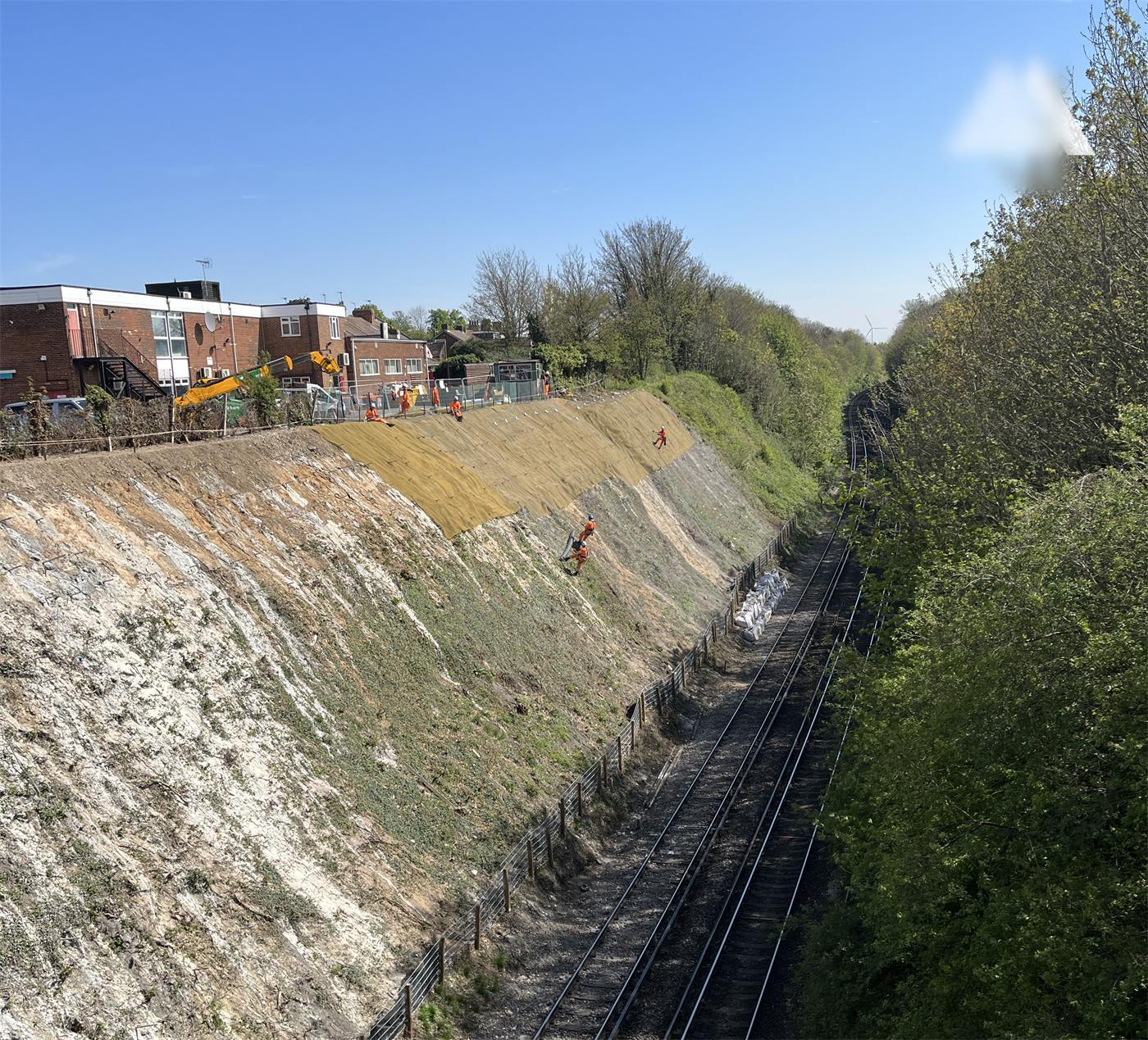 Re-greened railway cutting
